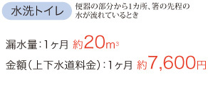 水洗トイレ（便器の部分から1ヶ所、箸の先程の水が流れているとき）→漏水量：約20㎥、金額：約7600円