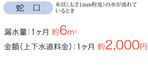 蛇口（糸状（太さ1mm程度）の水が流れている時）→漏水量：約6㎥、金額：約2000円